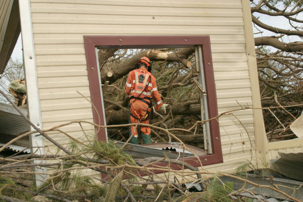 Best Tree Risk Assessment  in Hermann, MO